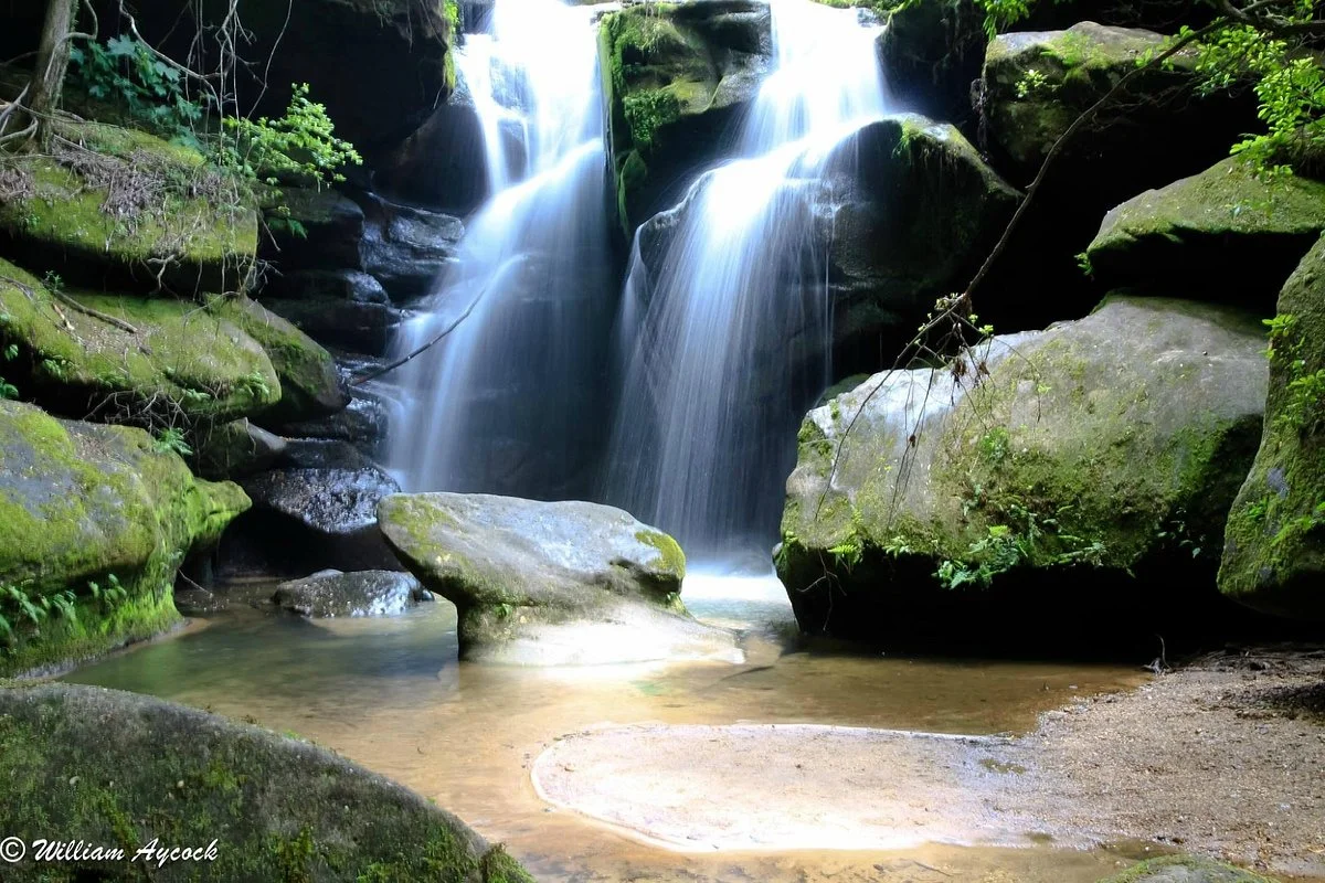 Dismals Canyon