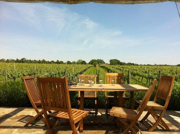 Wölffer Estate Vineyard