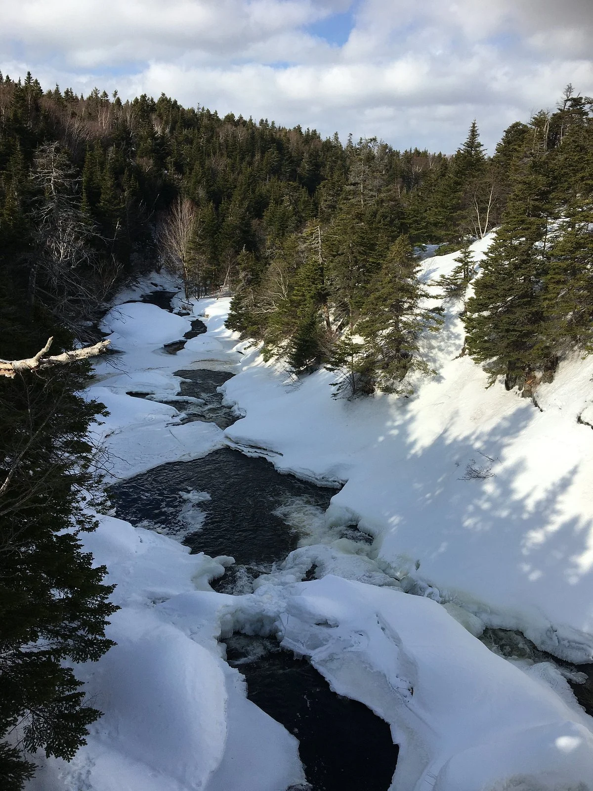 Bowring Park
