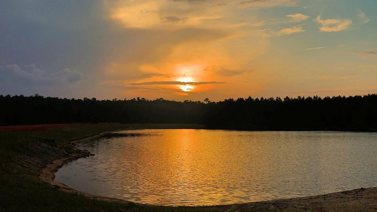 Magnolia Branch Wildlife Reserve