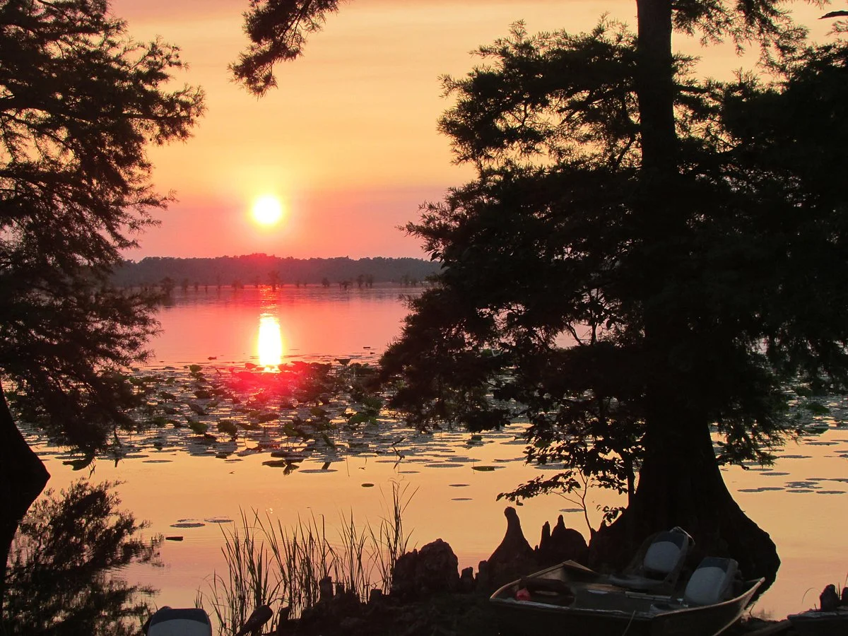 Reelfoot Lake State Park