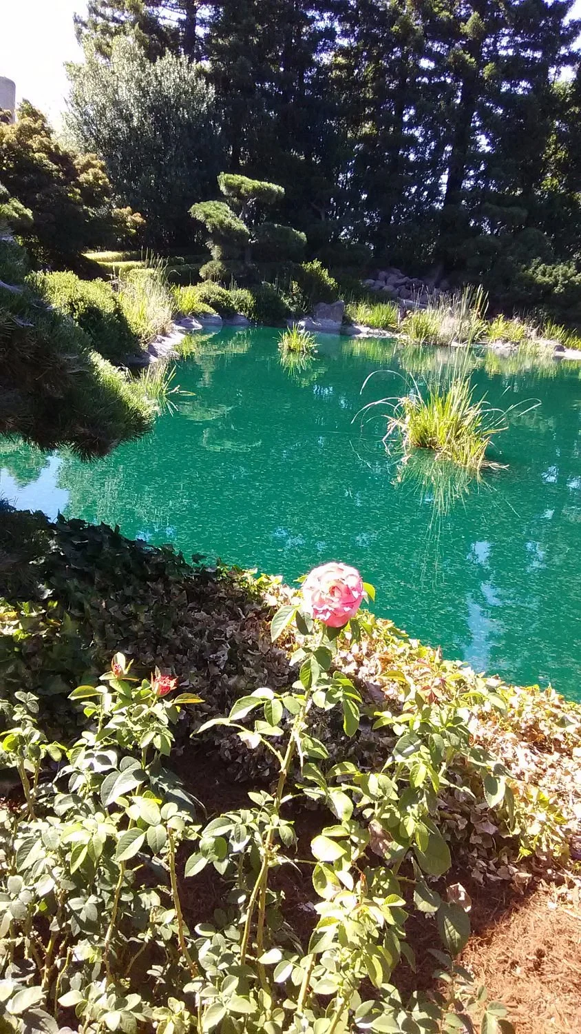 Gekkeikan Sake
