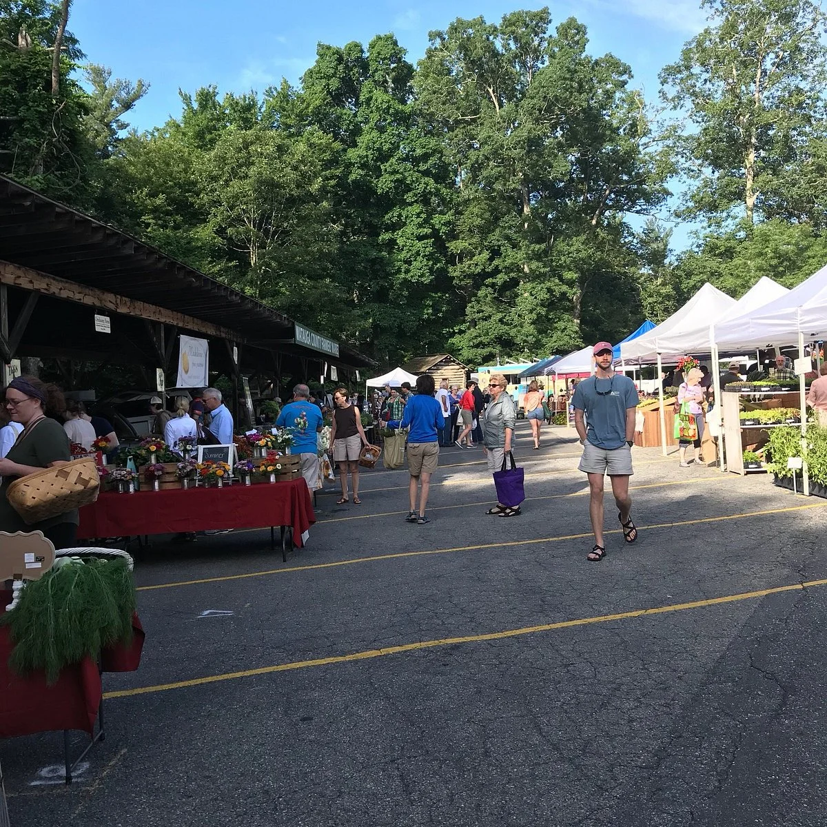 Watauga County Farmer's Market