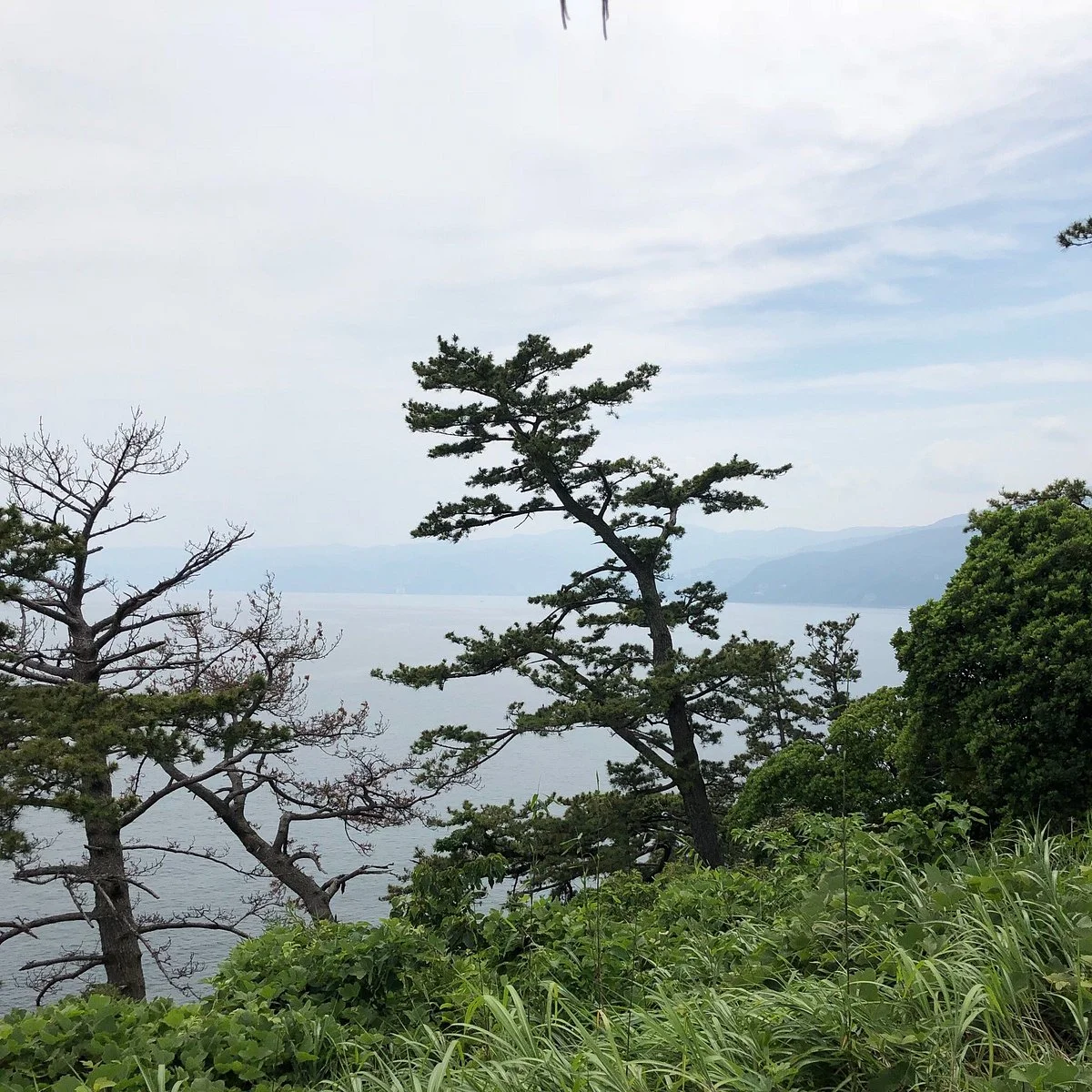 Ohayashi Tembo Park