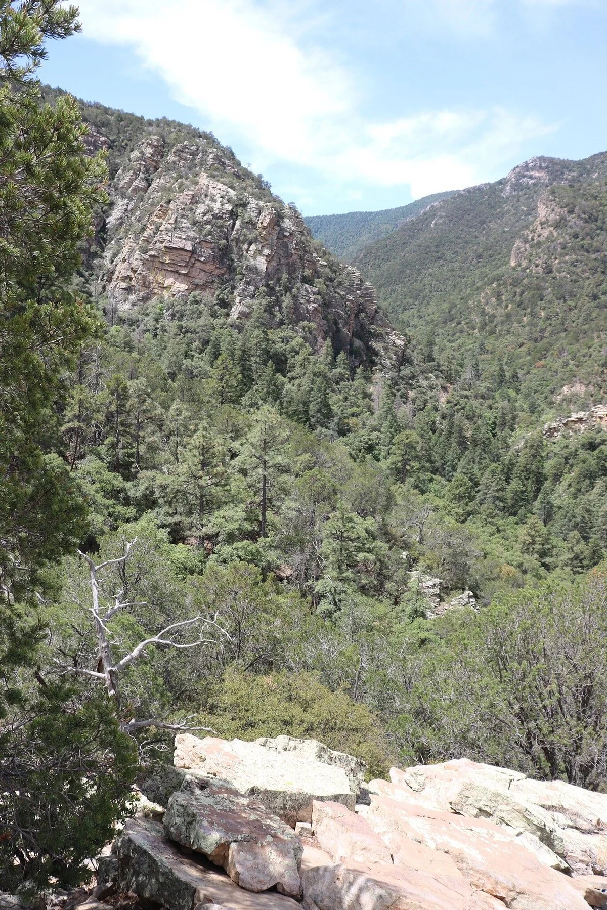 The Nature Conservancys Ramsey Canyon Preserve