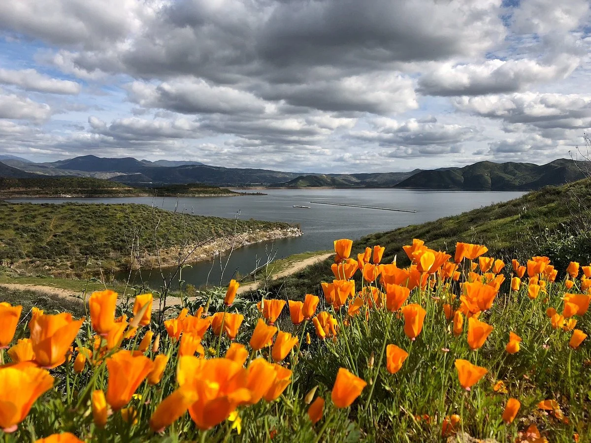 Diamond Valley Lake Visitors Center
