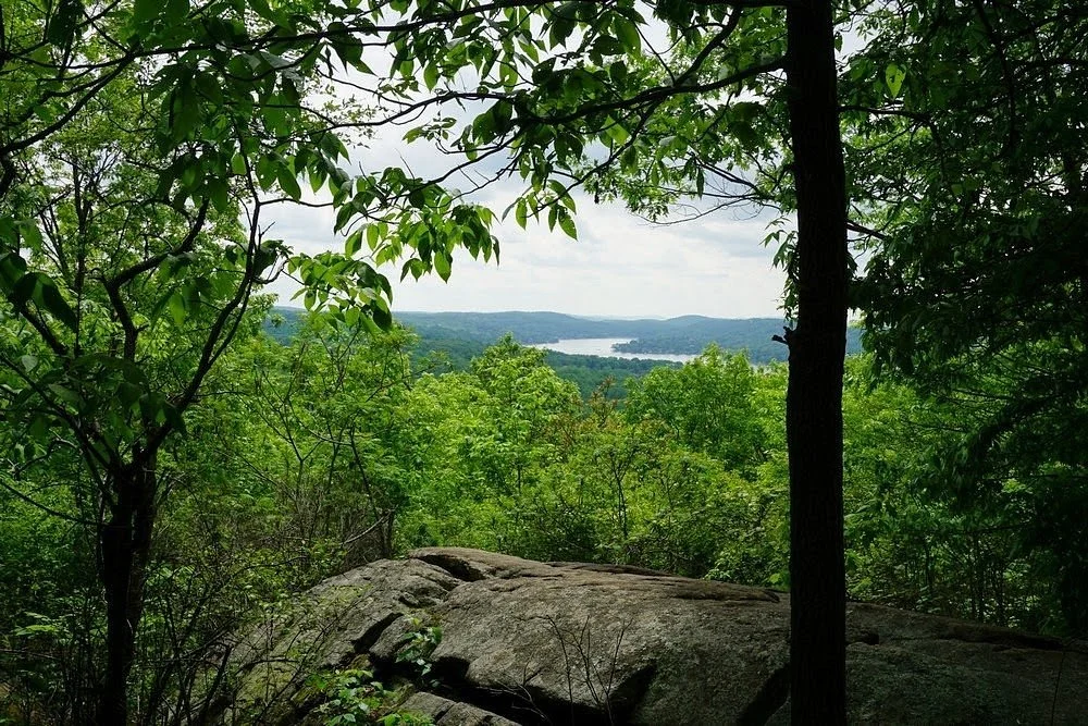 Sparta Glen
