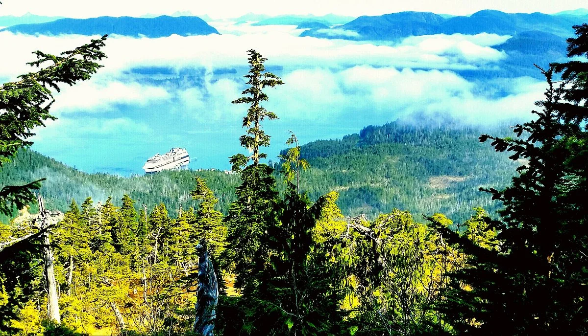 Harbor Mountain Trail