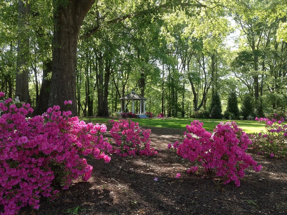 The City Gardens of Southern Oaks