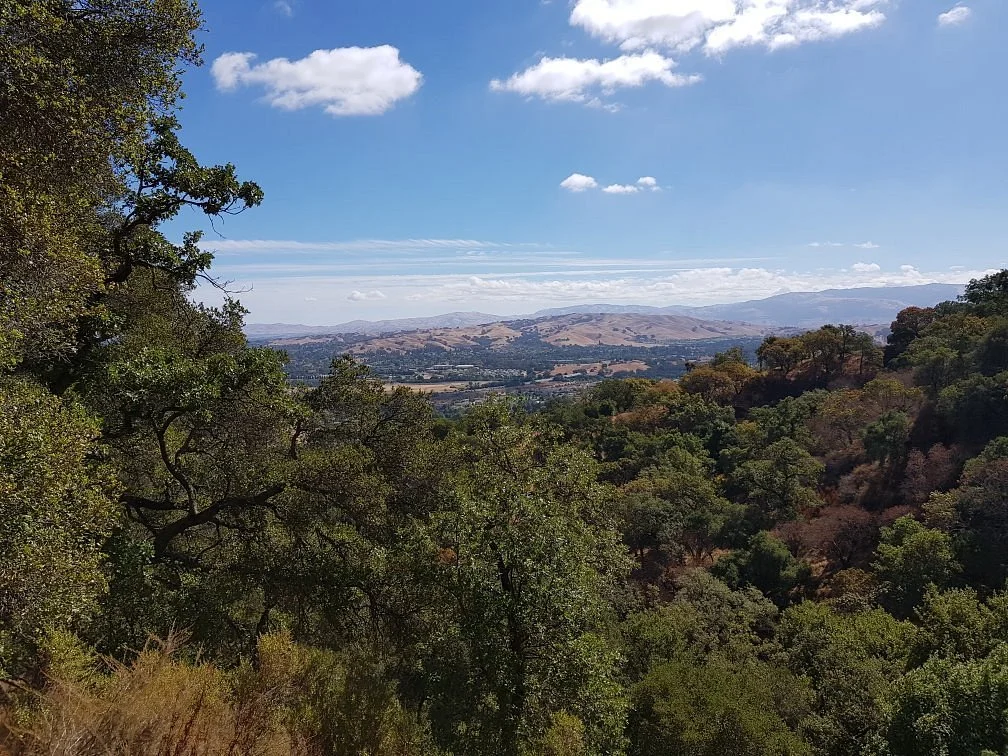 Castle Ridge Trail