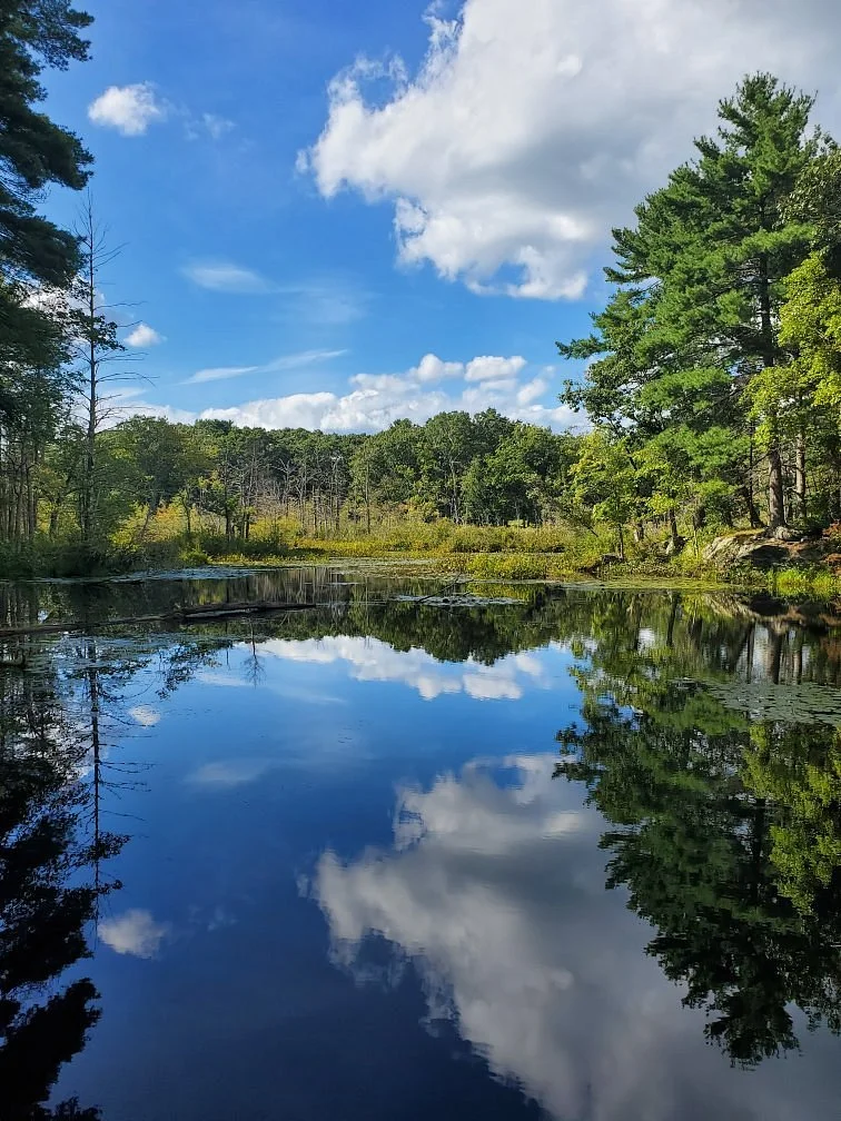 Mass Audubon Broadmoor Wildlife Sanctuary