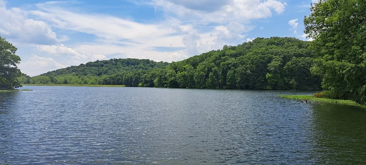 Yellowwood State Forest
