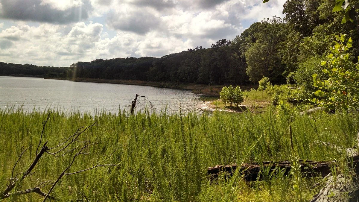 Raccoon Lake State Recreation Area
