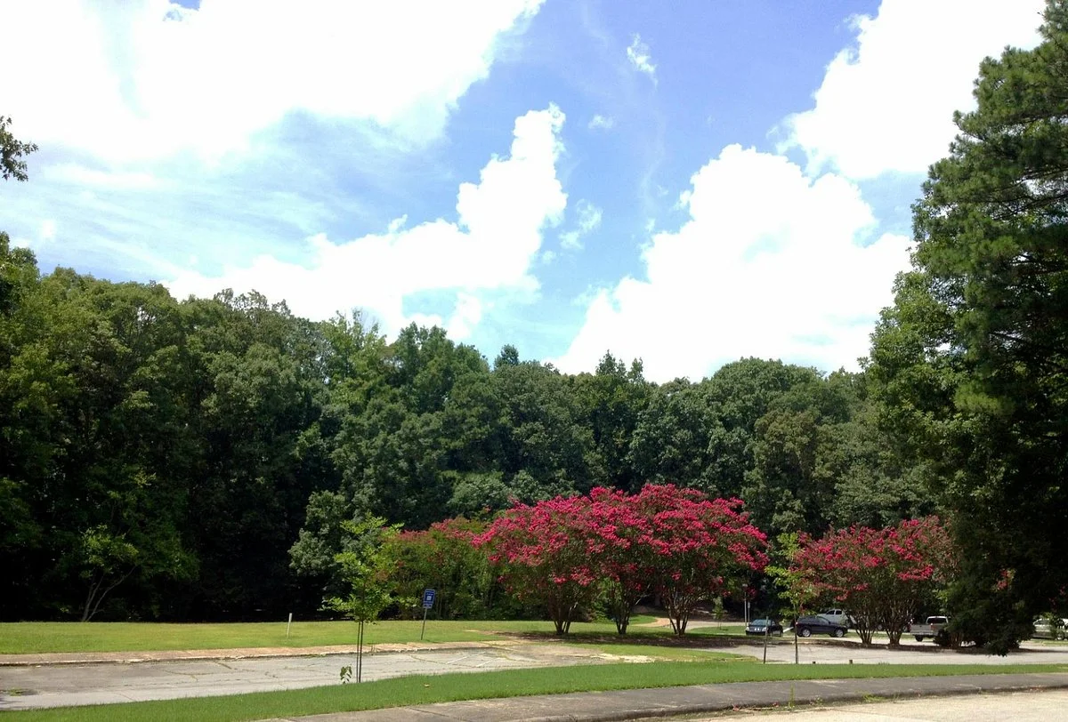 Brook Run Park