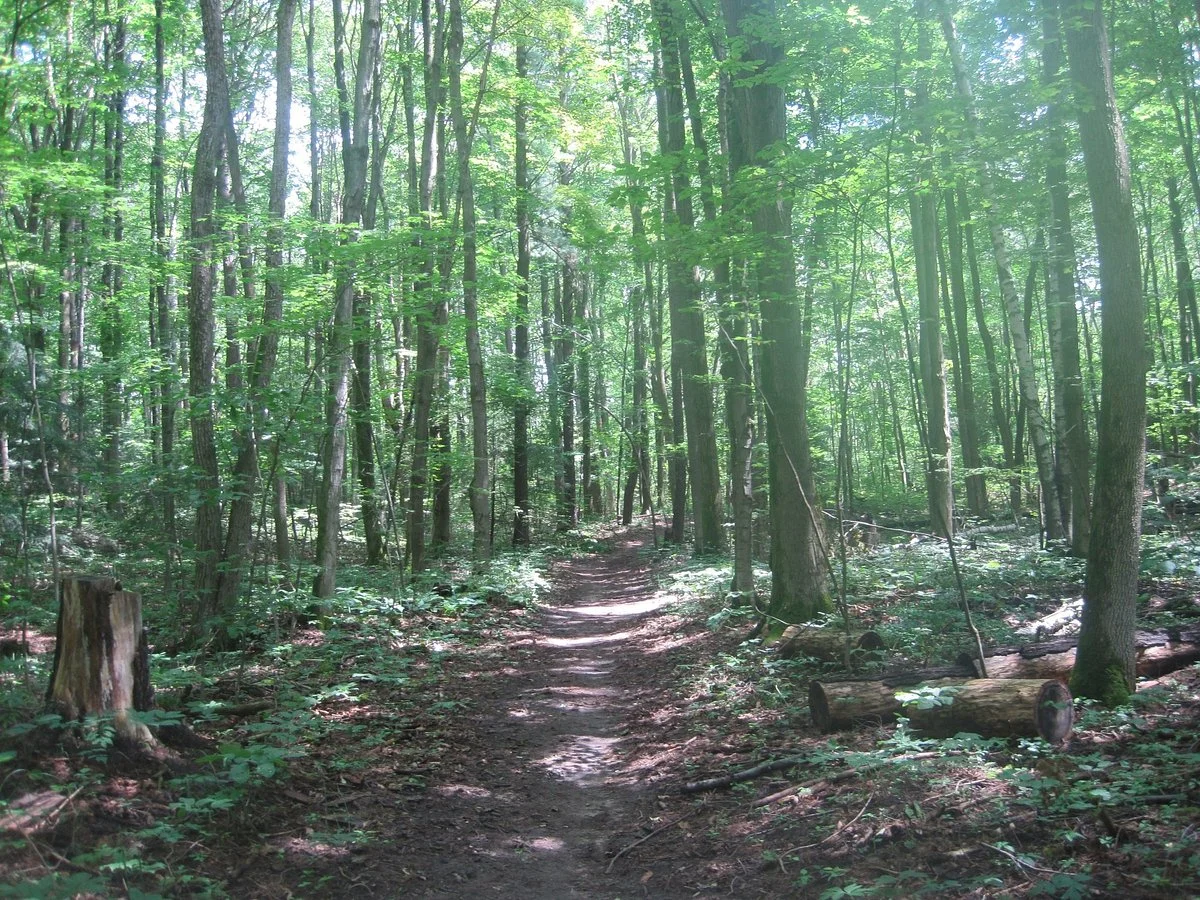 Long Sault Conservation Area