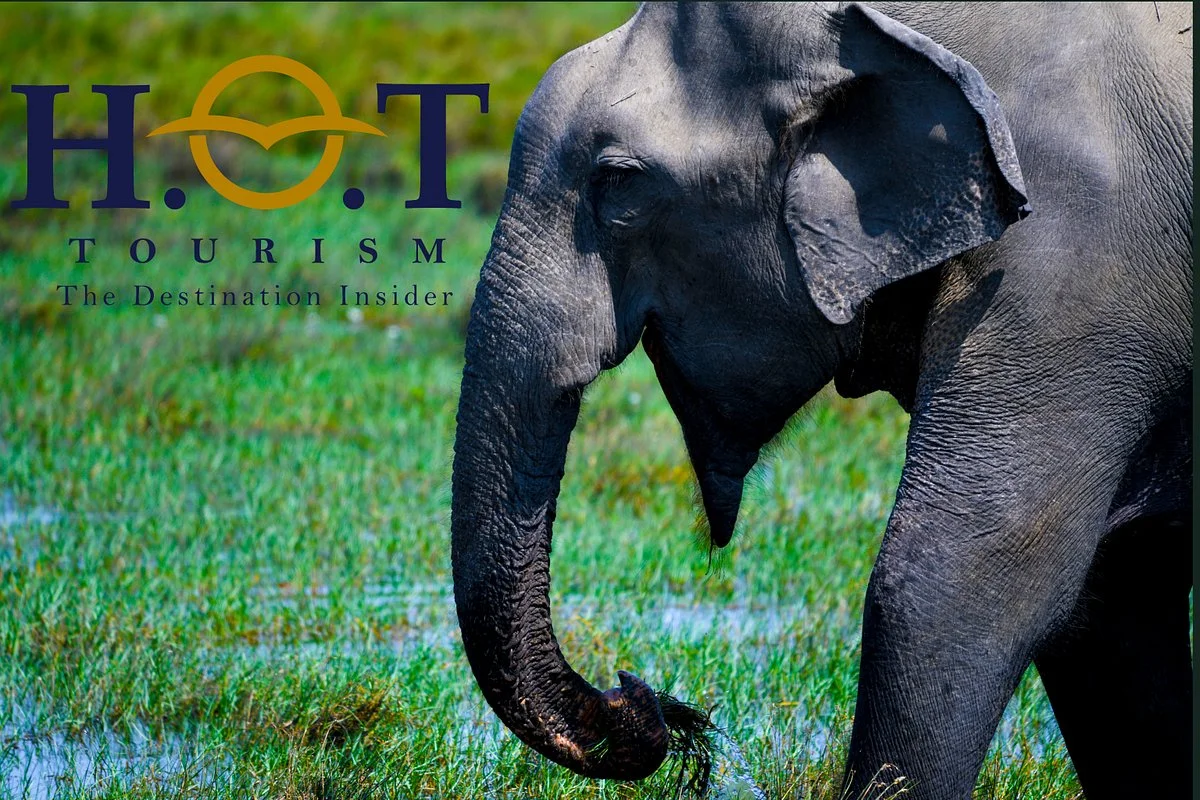 H.O.T Tourism