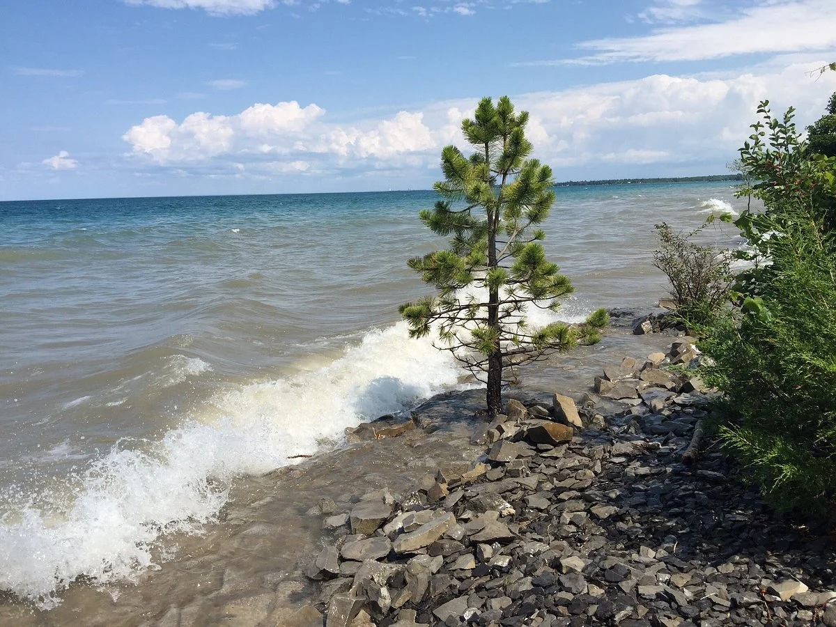 Craigleith Provincial Park
