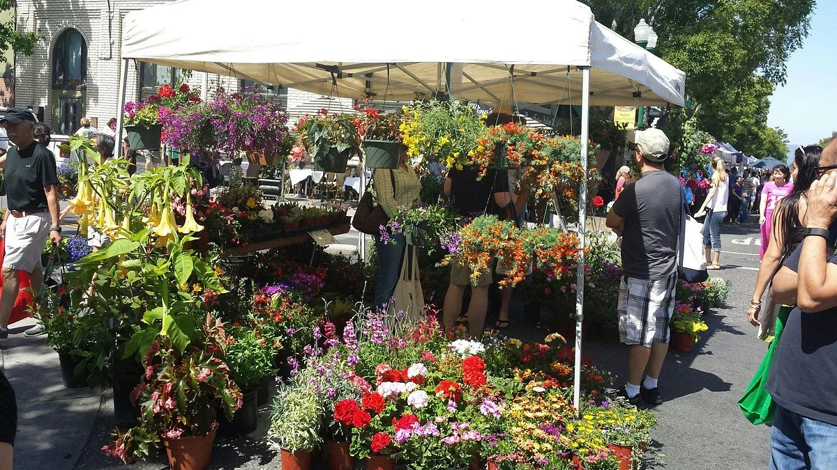 Downtown Campbell Farmers' Market