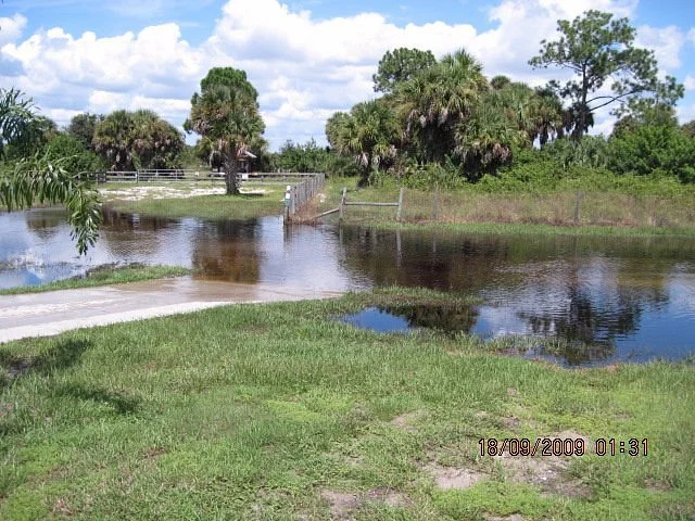 Myakka State Forest