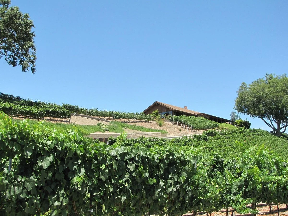 Blackjack Ranch Vineyards and Winery