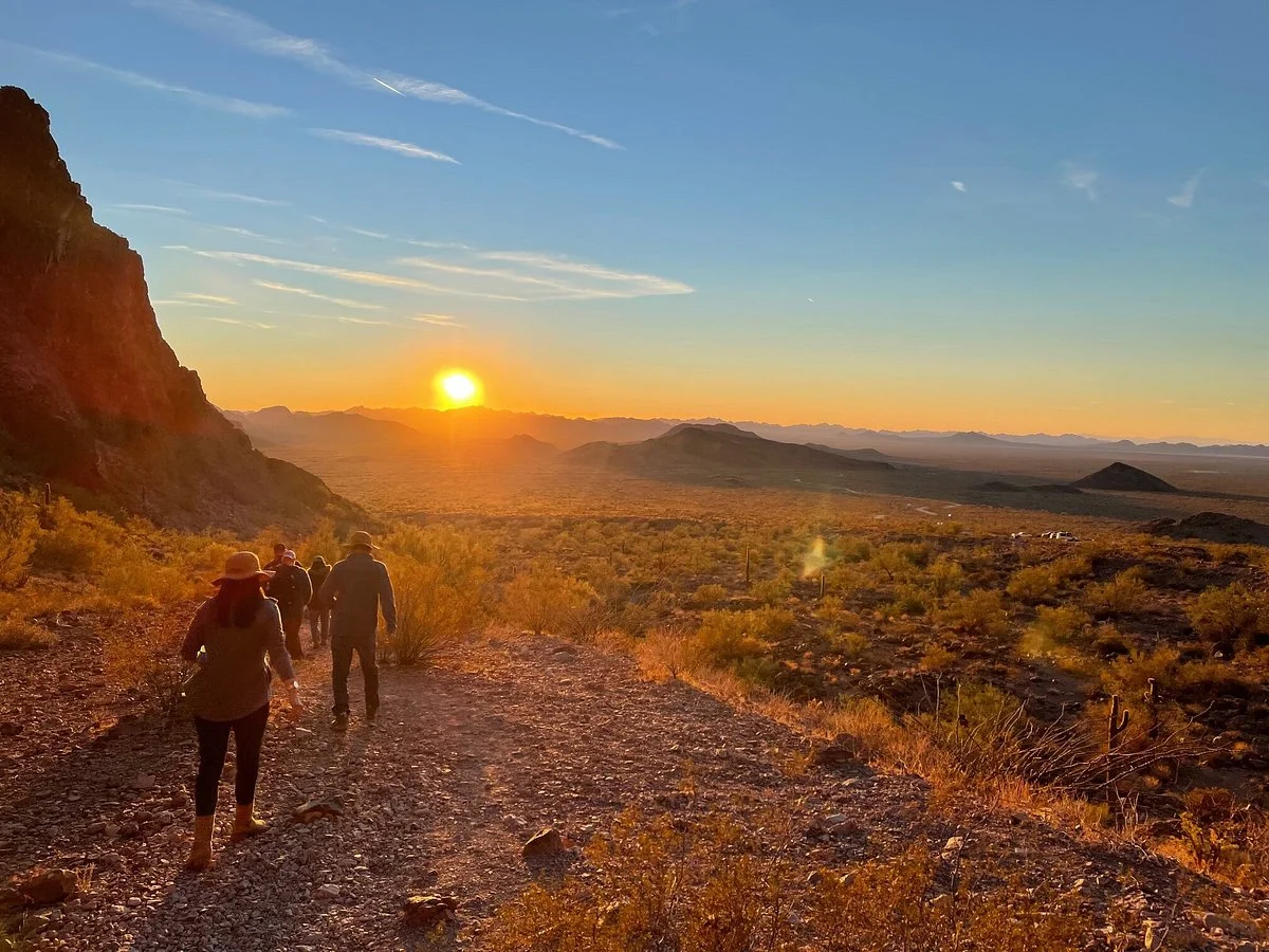 Palm Canyon