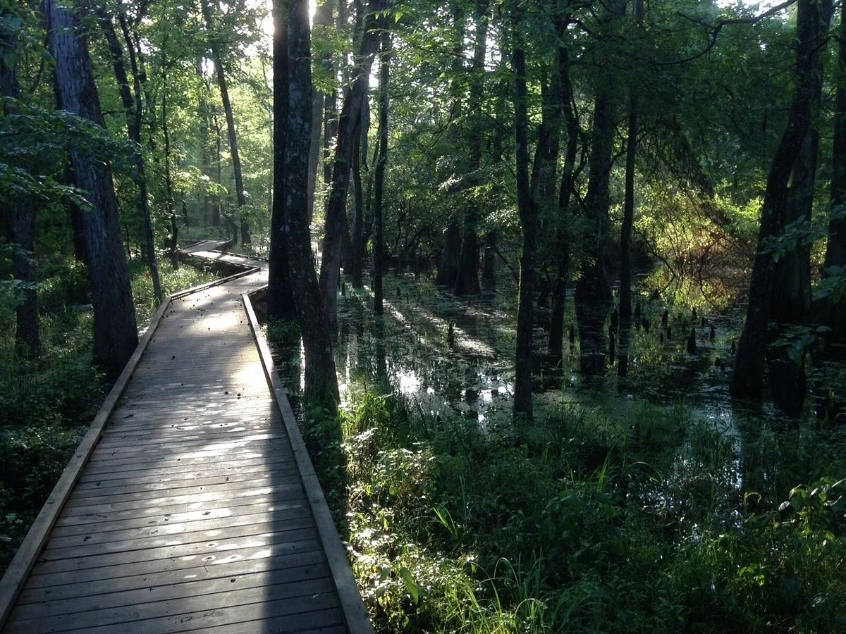 Jesse H. Jones Park and Nature Reserve