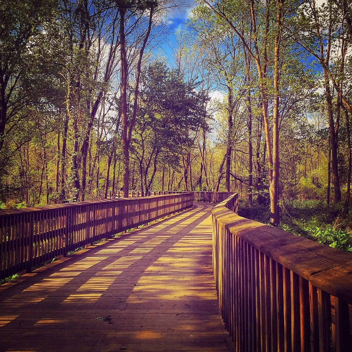 Ma and Pa Trail