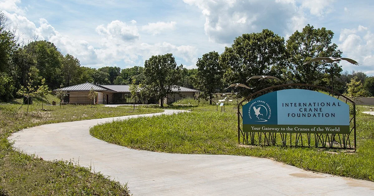 International Crane Foundation