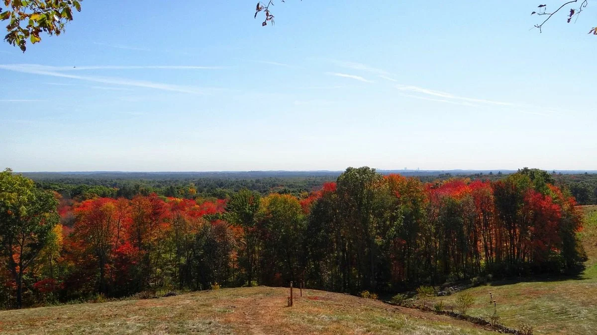 Ward Reservation
