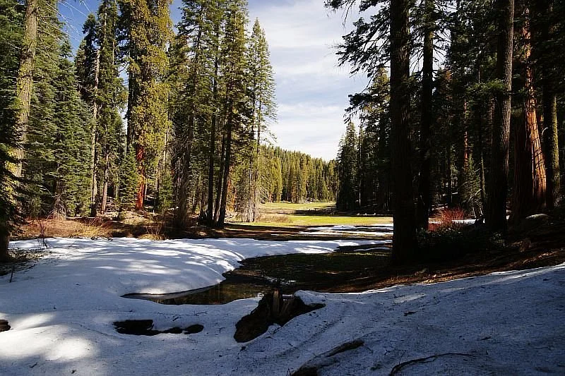 Crescent Meadow Loop