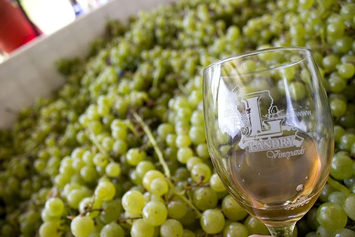 Landry Vineyards
