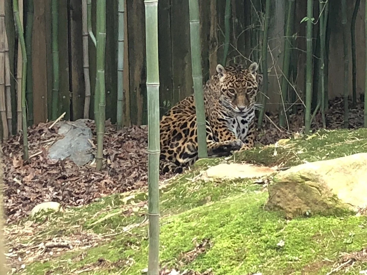 Catoctin Wildlife Preserve