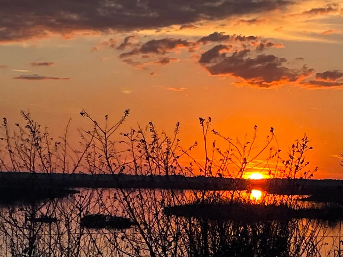 Paynes Prairie