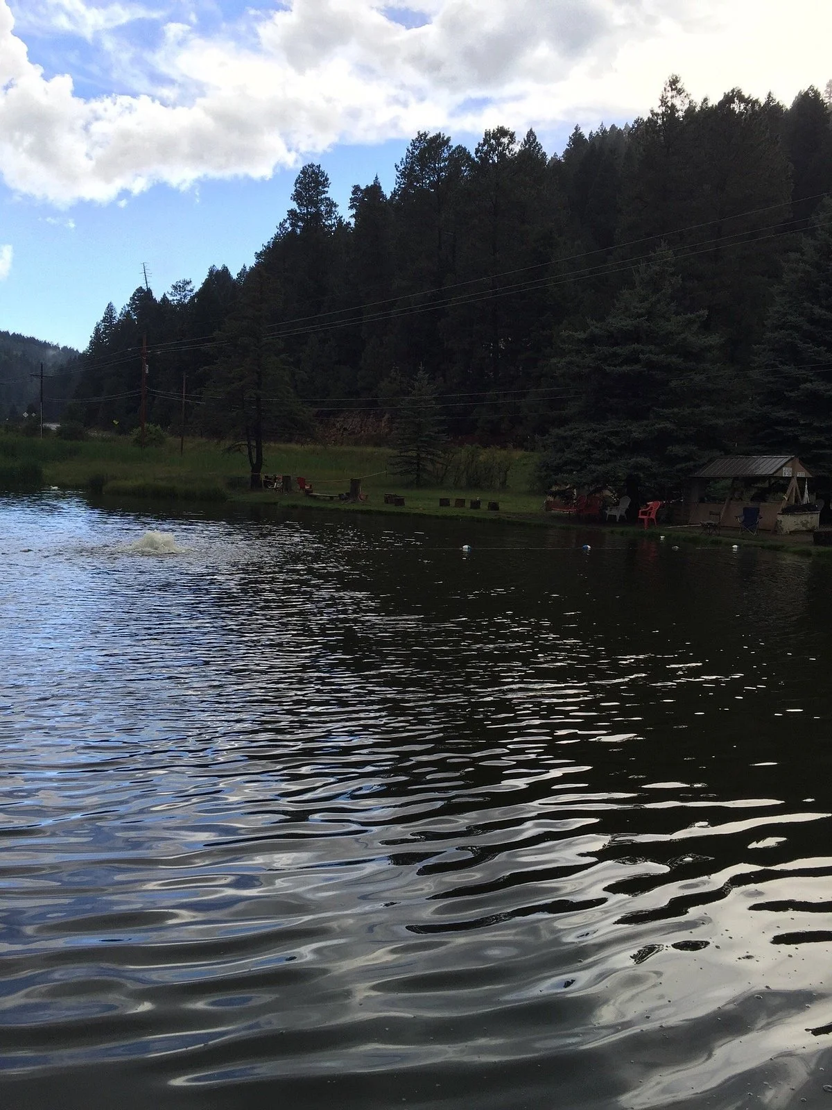 Silver Springs Fishing Pond