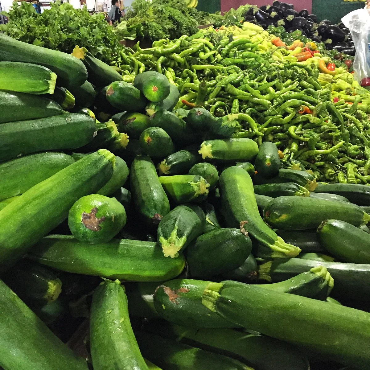 Lewin Farms