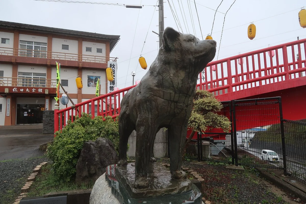 Akitainu Museum