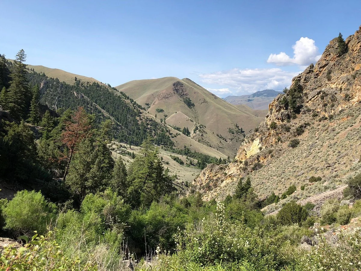 Goldbug Hot Springs