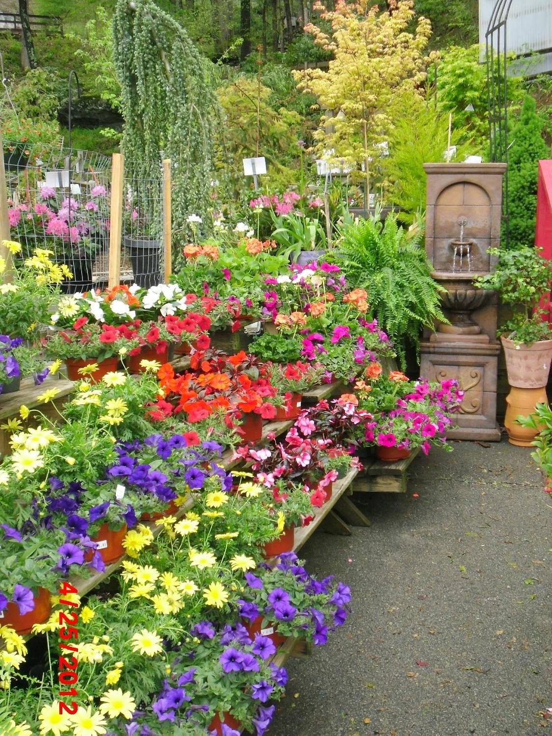 Grandfather Mountain Nursery Garden Center