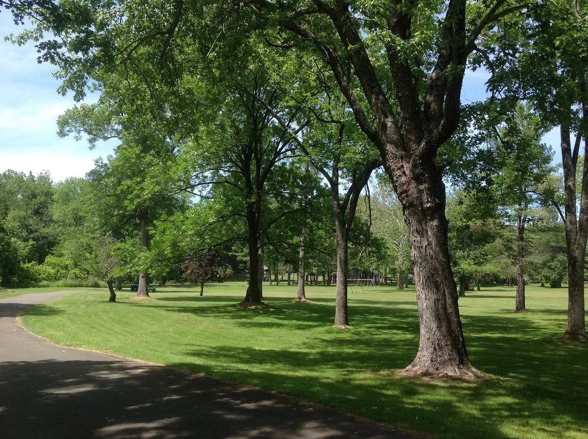 Harrybrooke Park