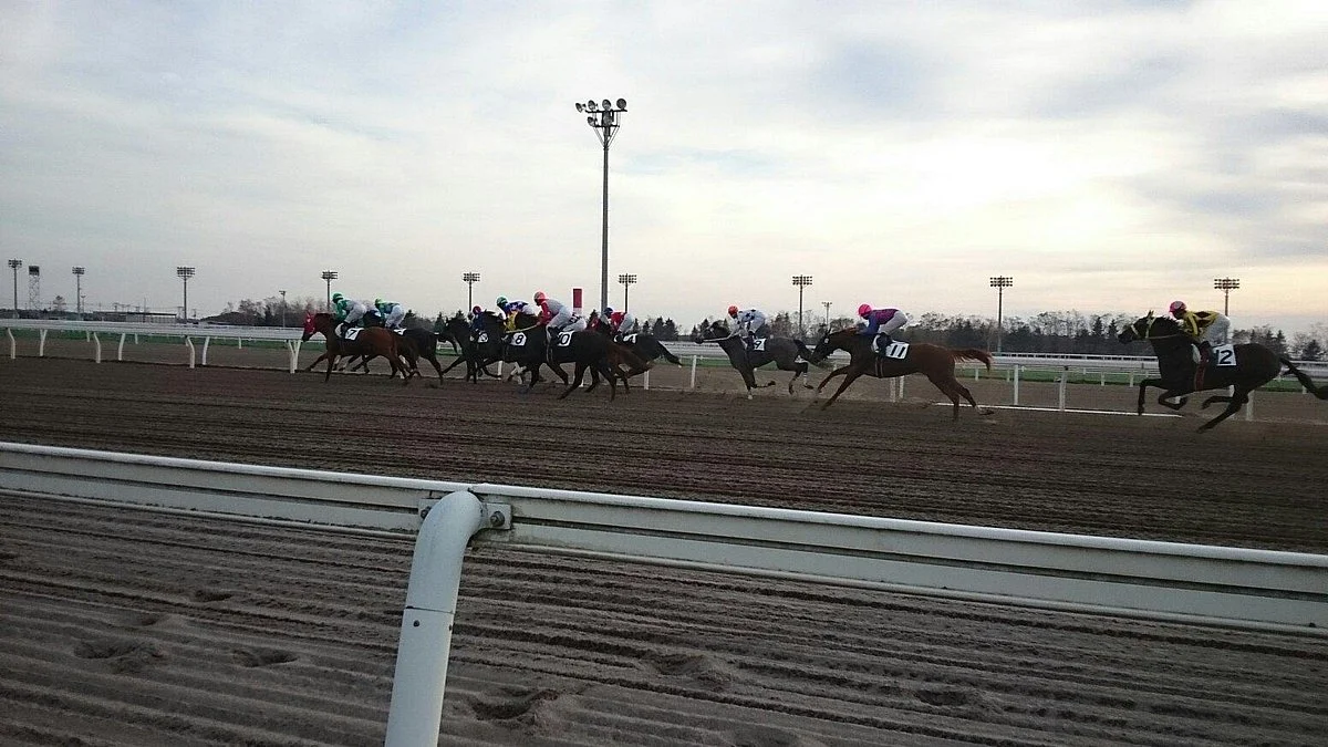 Monbetsu Horse Tracks