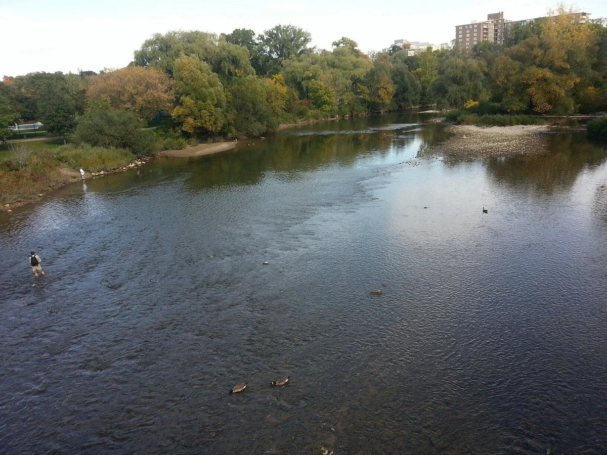 Gibbons Park