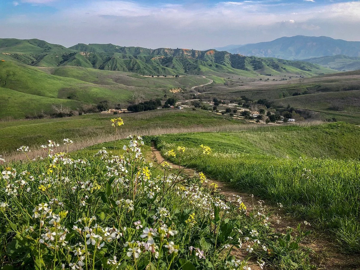 Chino Hills State Park