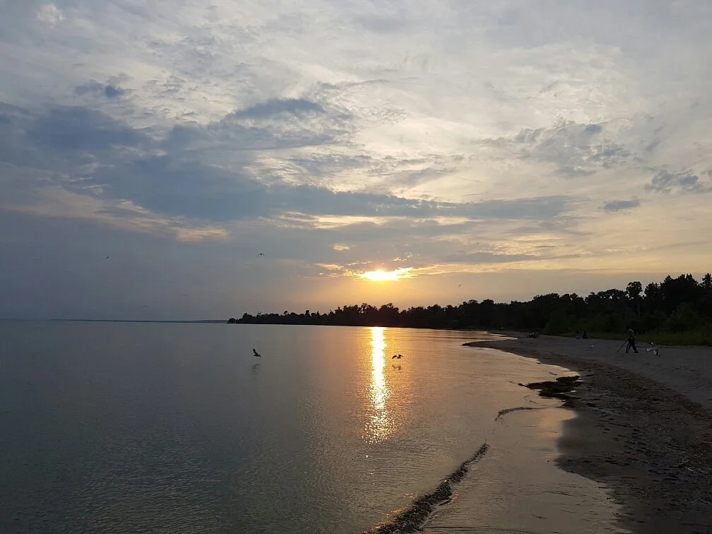 Seacliff Park