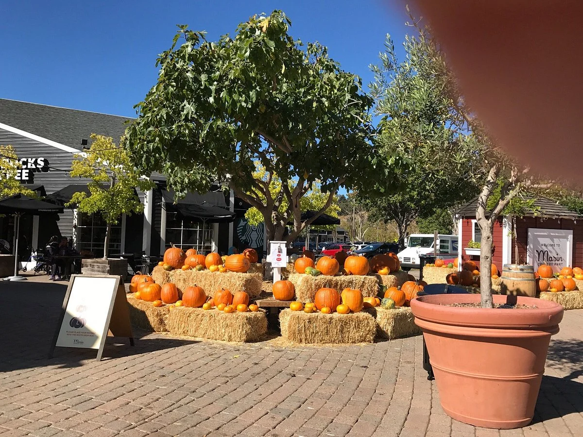 Marin Country Mart