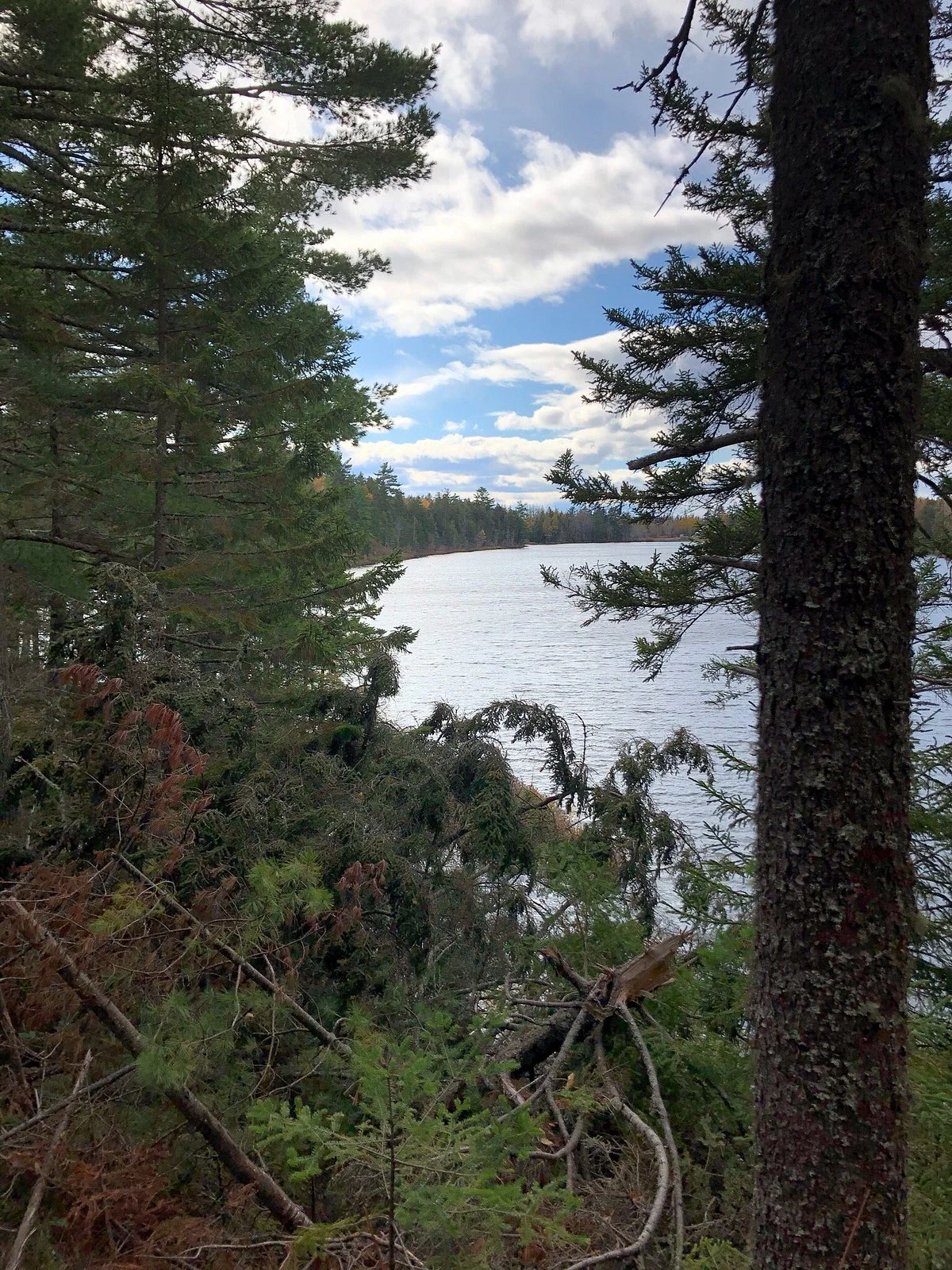 Killarney Lake Park Trail