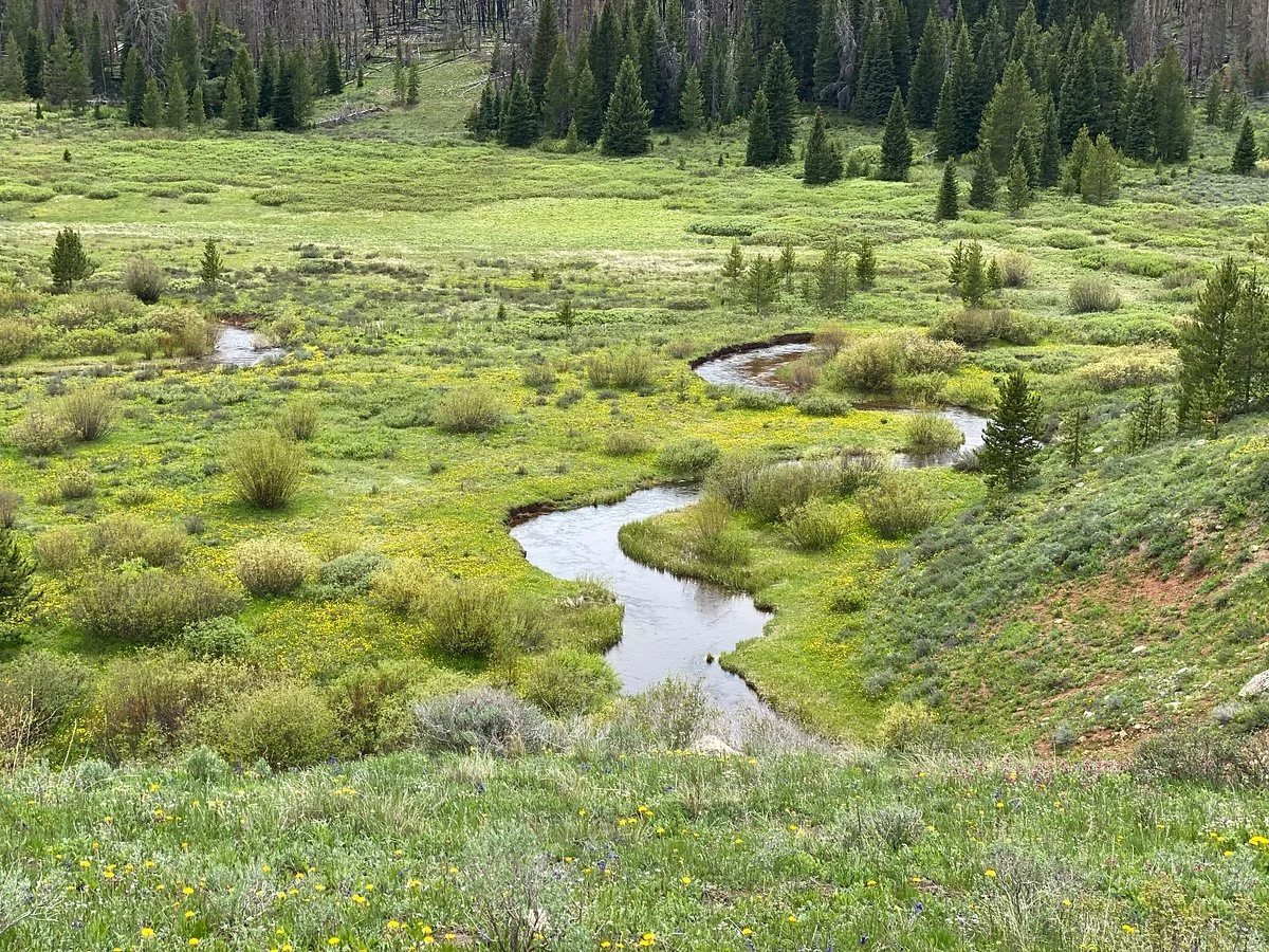 Latigo Ranch