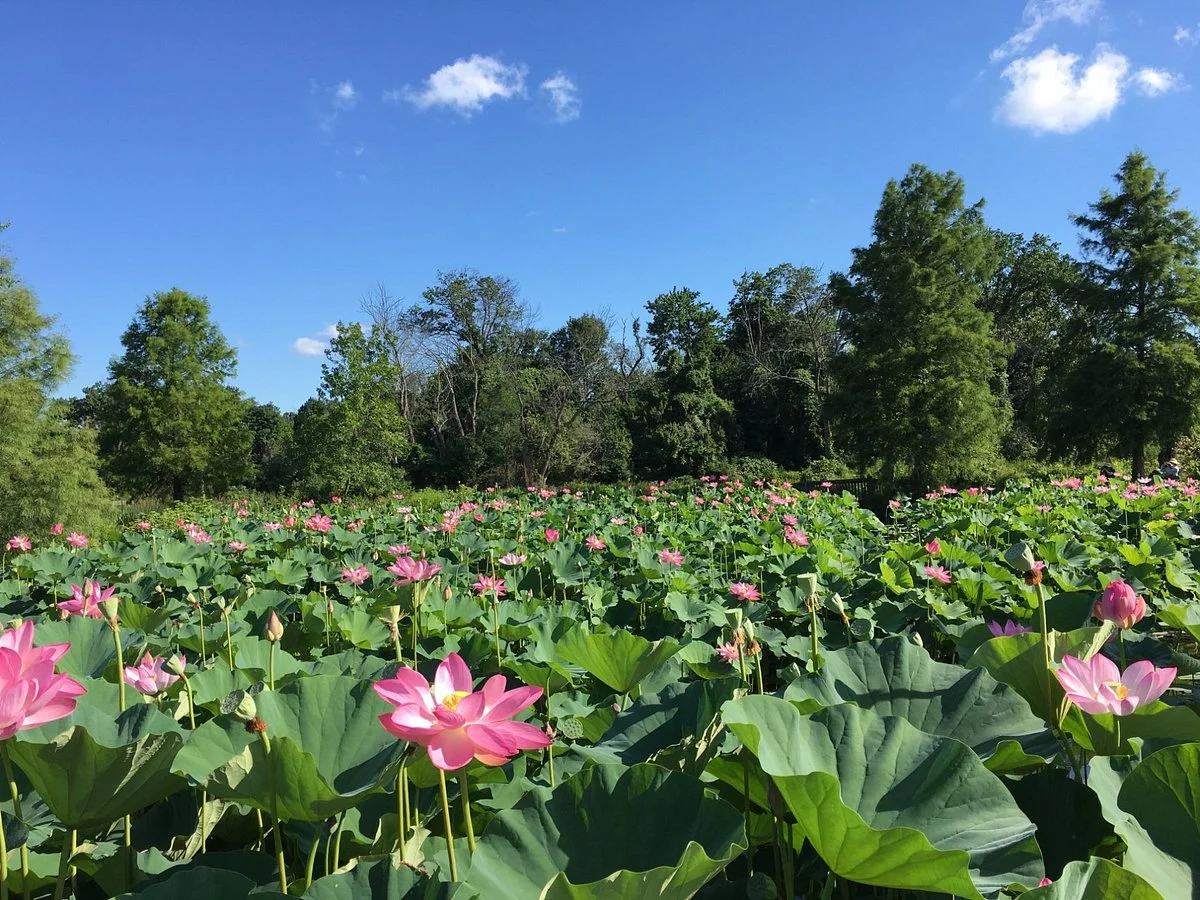 Kenilworth Park and Aquatic Gardens