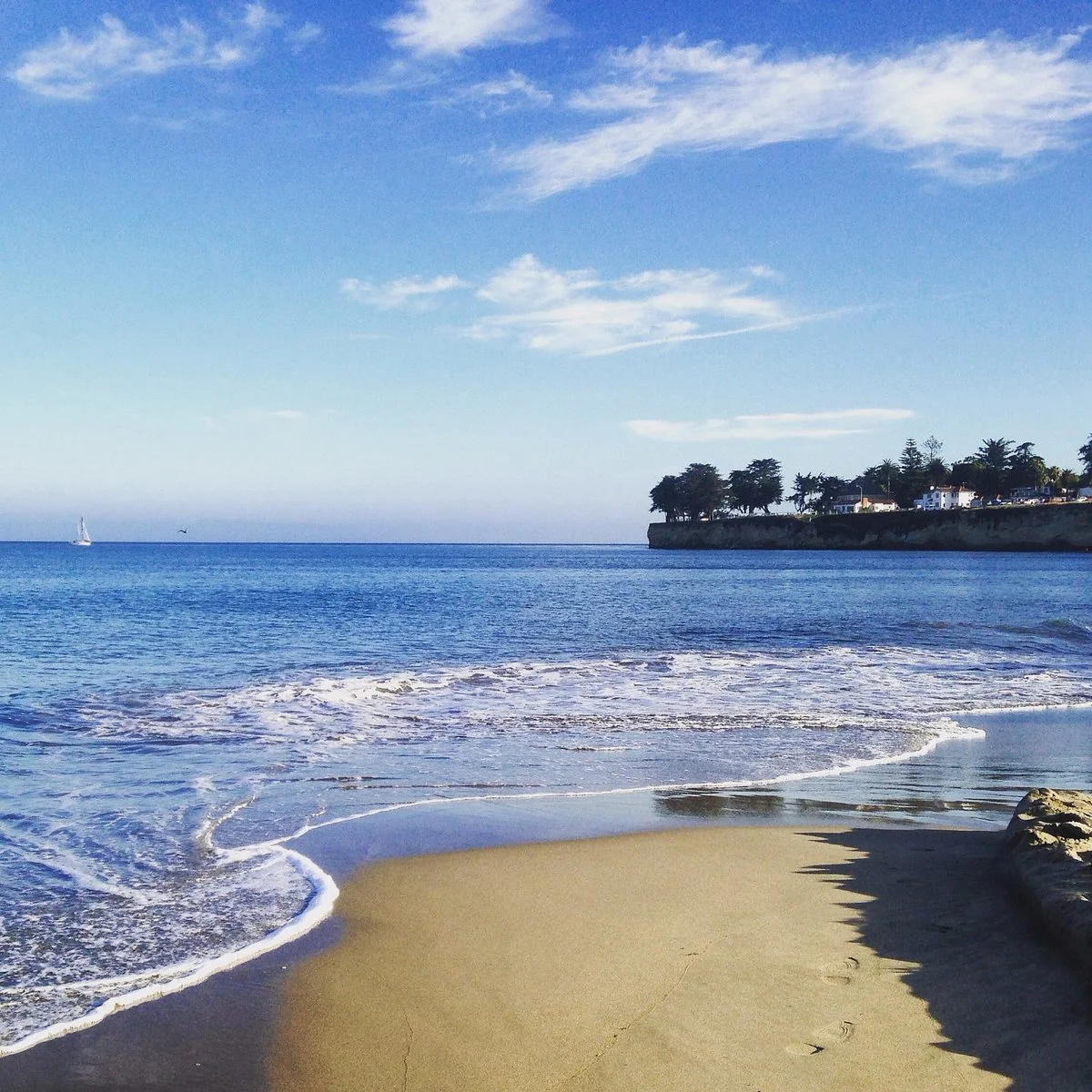 Cowell's Beach