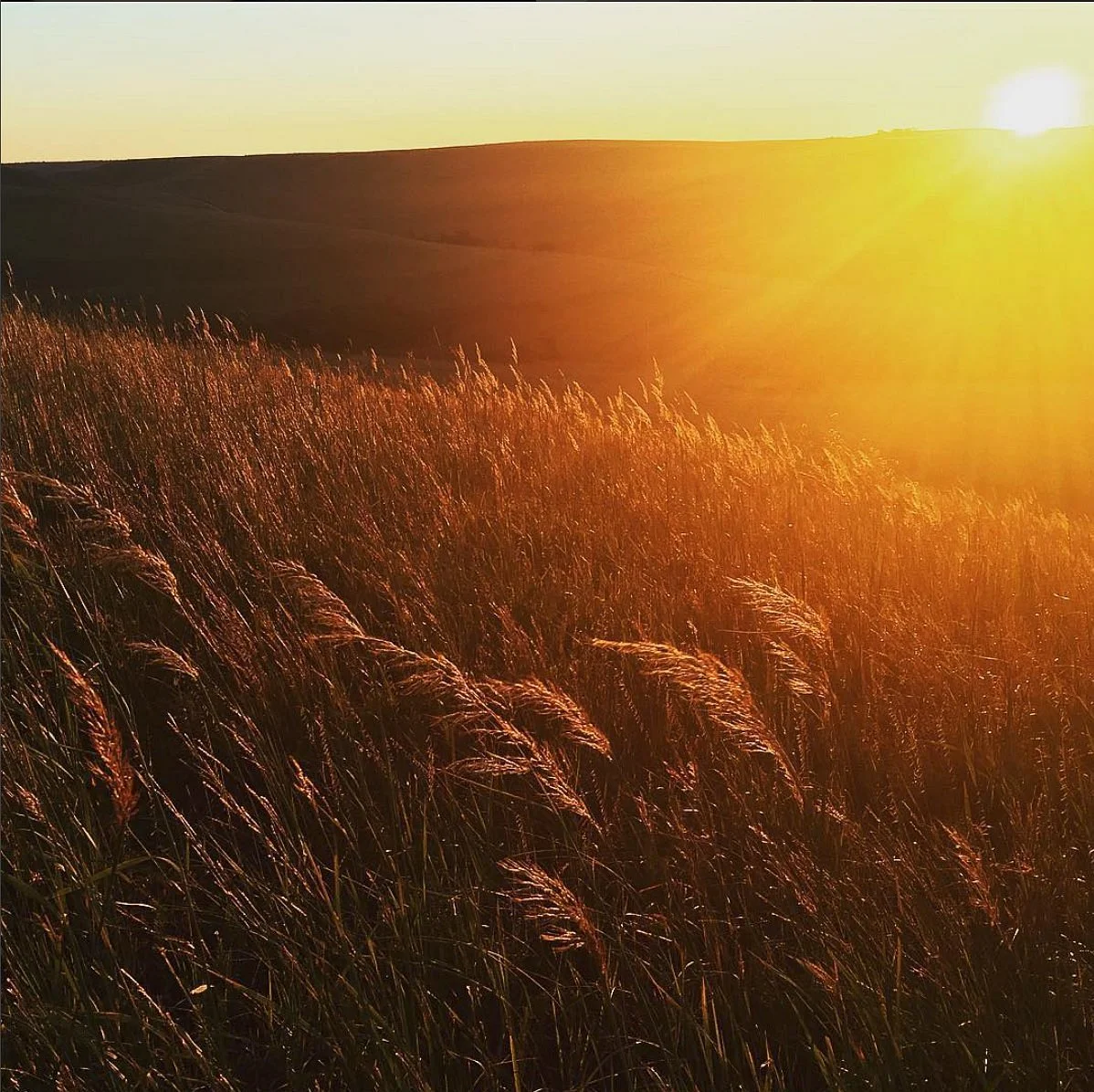 Konza Prairie Research Natural Area