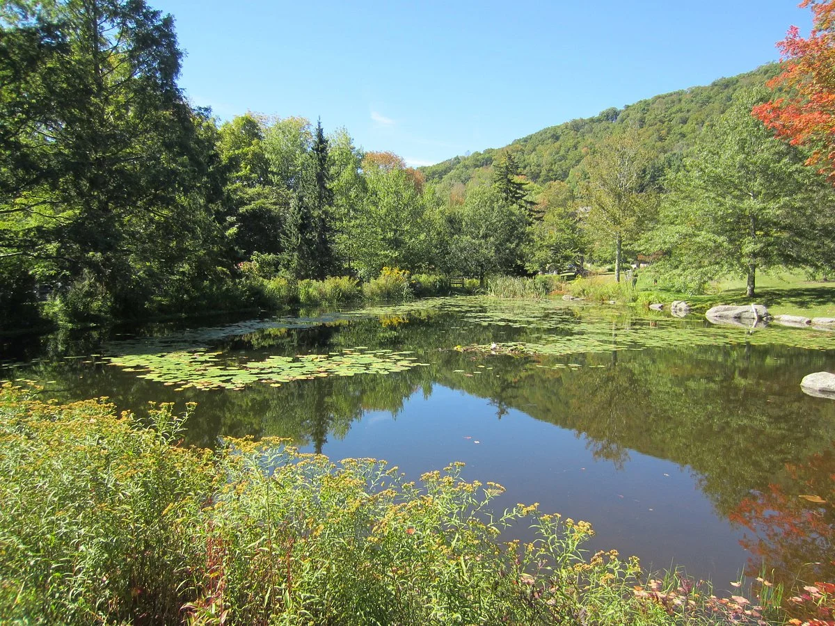 Mountain Top Arboretum
